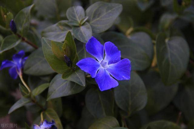 别叫老公“亲爱的”了，换个称呼，男人很爱听