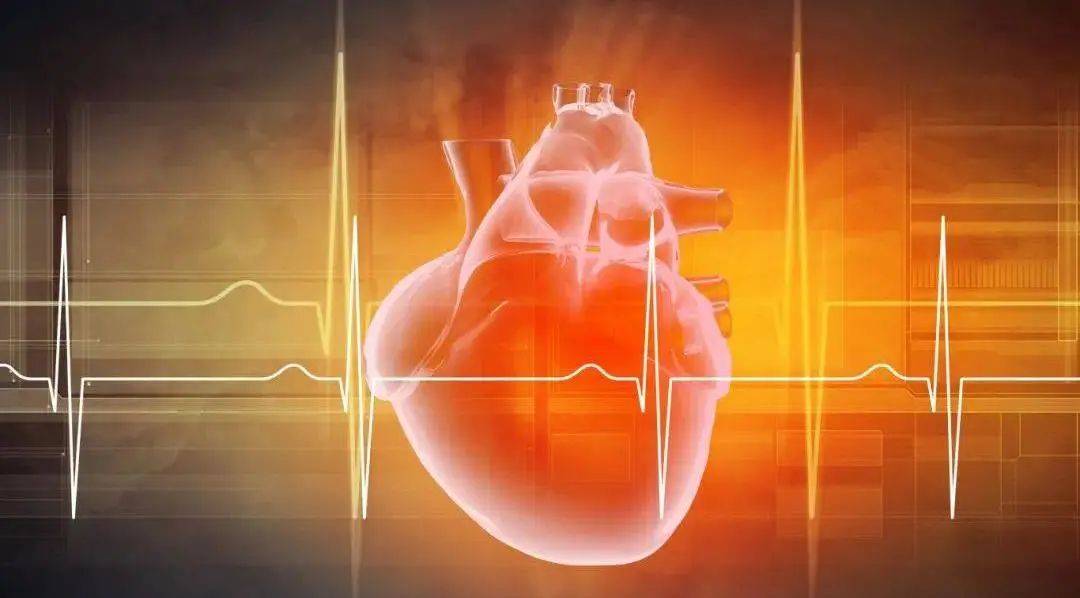 辅酶Q10：不只是心脏的“保护神”，还有很多惊人的健康益处