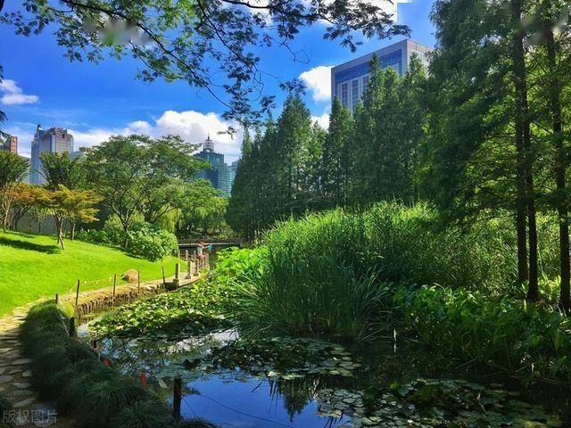 一个男人，发自内心嫌弃老婆，多会有3种反常，装不出来