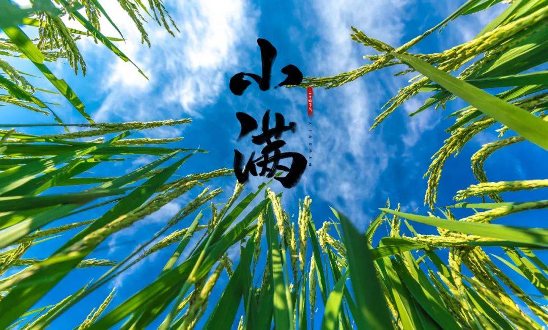 小满：养生重在防湿热、护脾胃、养心神