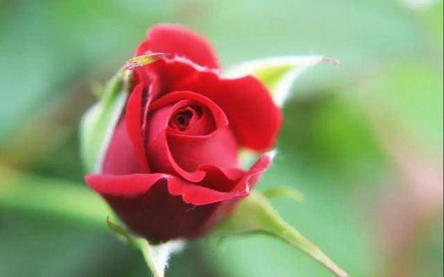 男人越是在乎你，越会有的3个表现，超级明显