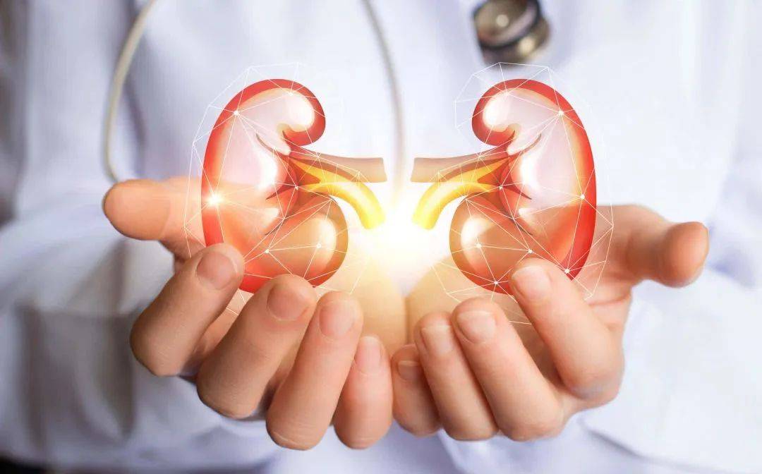 安复每天 | 菌群移植治疗慢性肾病案例分享