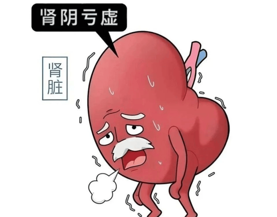 原创            杨小红主任：治疗肾阴虚性糖尿病，仅需2味药，滋肾、养阴、控糖，成本不过几块钱！