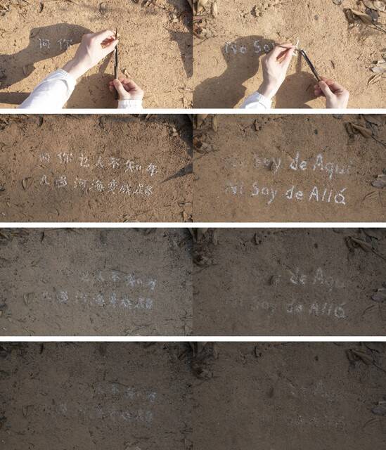 科学与艺术的跨界对话可能吗？——评“以蚁为序的生命网络”