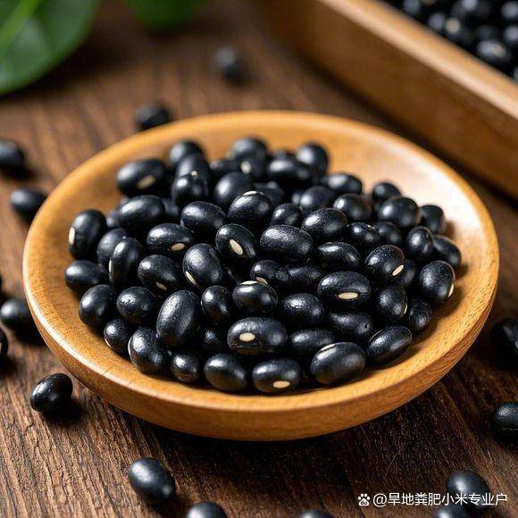 原创            超市黑豆分两种？中老年补钙儿童长高，挑错品种等于白吃