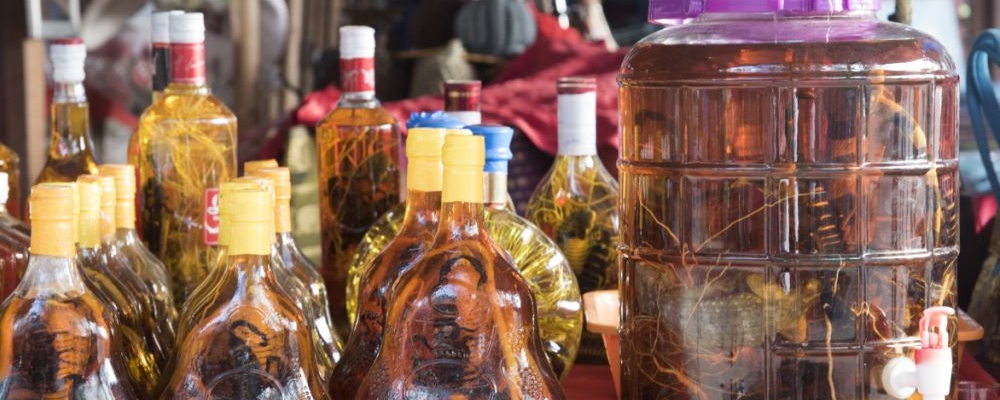 虎头蜂泡酒配方 虎头蜂泡酒的功效 虎头蜂泡酒的禁忌