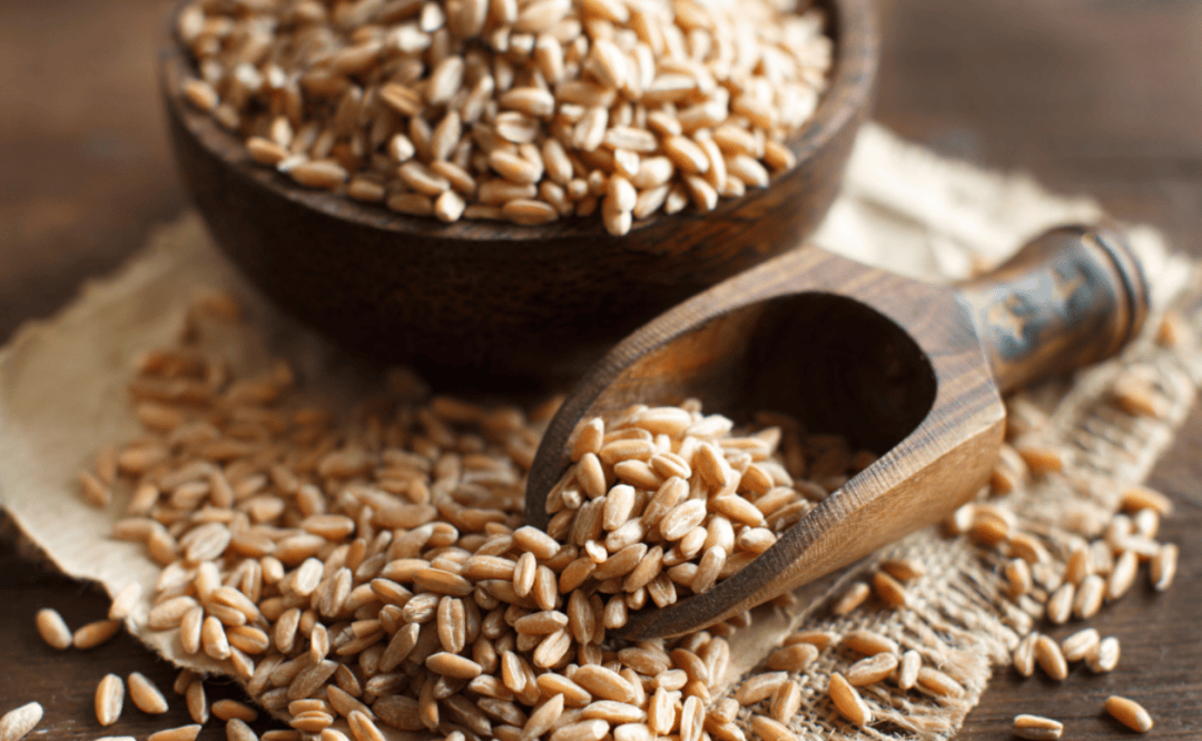 减重的饮食误区系列报道（二）：不吃主食就能瘦吗？小心减出健康问题！