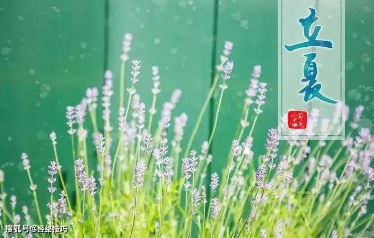 原创            口干失眠睡不好？可能是身体阴液不足的信号