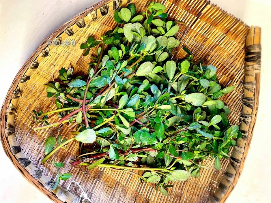 原创            一祛湿，二护肝，三防便秘，农村遍地是，全身是宝，可惜很多人当草