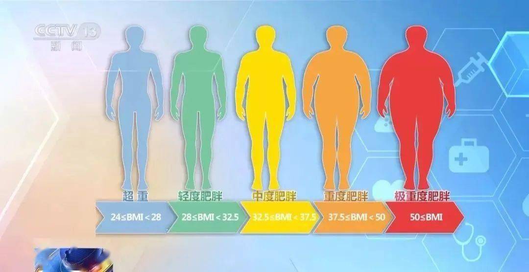 夏季减肥食谱来了！《成人肥胖食养指南（2024年版）》全面解读