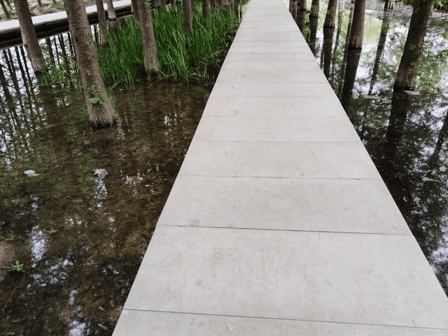 原创            当孩子彻底躺平摆烂，妈妈惊觉把孩子养废退行，竟是“为你好”