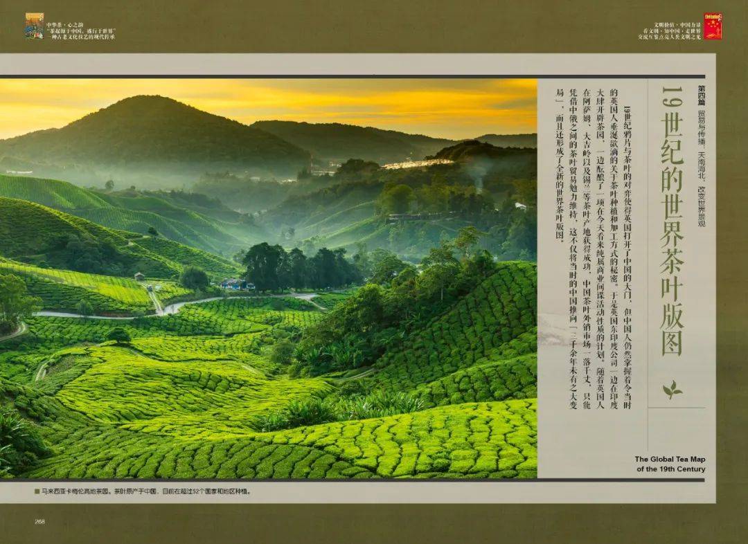 19世纪的世界茶叶版图