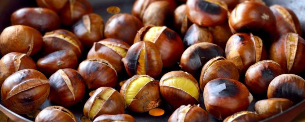 如何补脾养胃？这些食物效果超棒！（符合 SEO 要求）