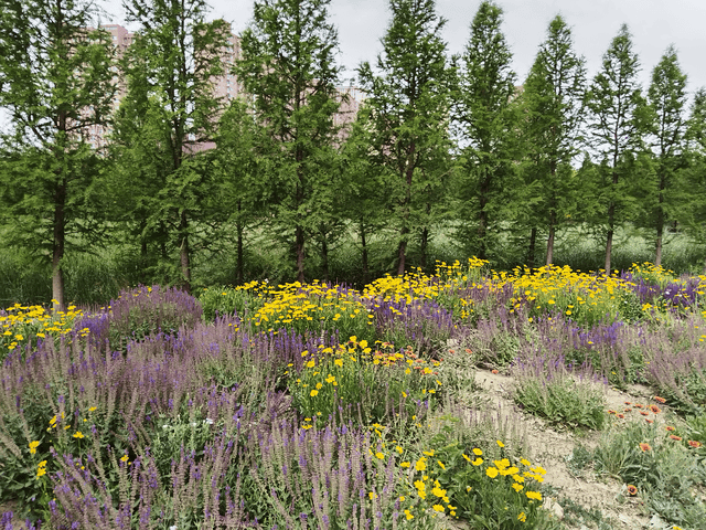 原创            孩子频繁请假或休学后，想让孩子尽快返校，父母要做好这5件事