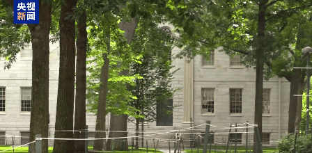 最新！哈佛大学禁令引众怒，美联邦法官发出临时限制令，冻结政府的撤销决定