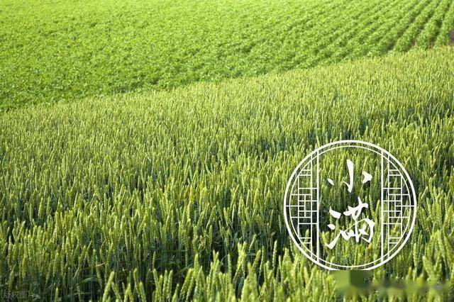 小满将至，要懂忌嘴，切记“忌1事喝2汤吃3瓜”，顺利度过夏天