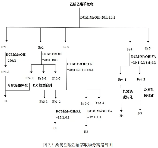 桑黄能减肥？论文解读 | 《桑黄体外降脂作用研究》