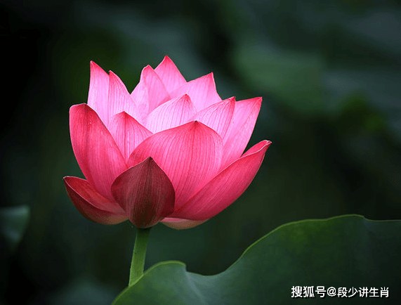 人生要对得起自己