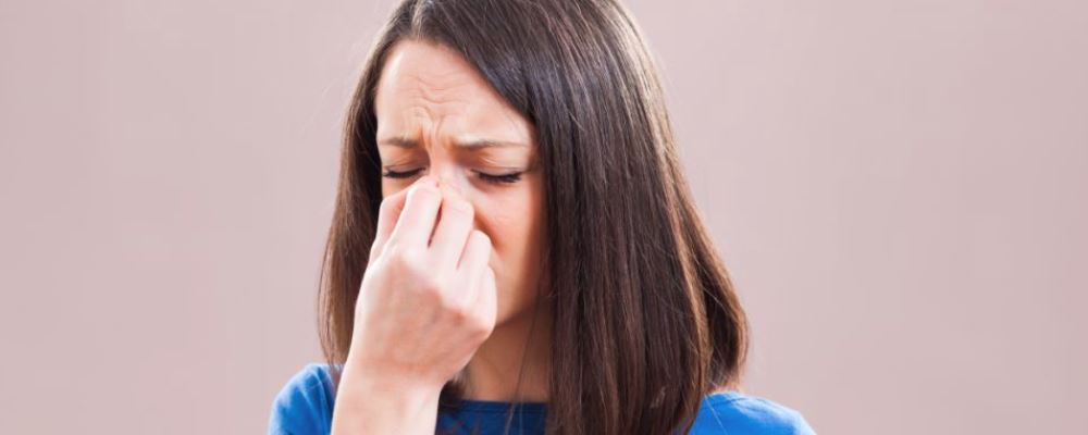 过敏性鼻炎反复发作？试试这些食疗方吧！