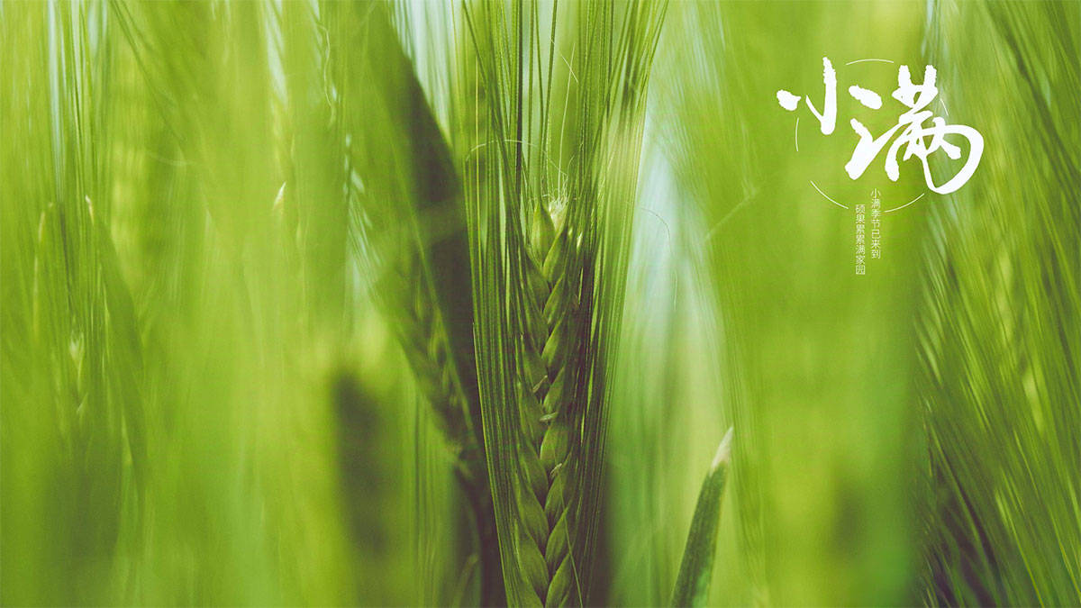 原创            小满不吃苦，长夏要受苦，明日小满，要吃3种“苦味”，清热消暑