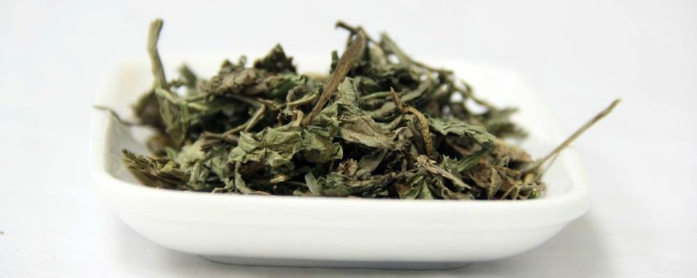 蒲公英泡水喝的功效作用及好处简介