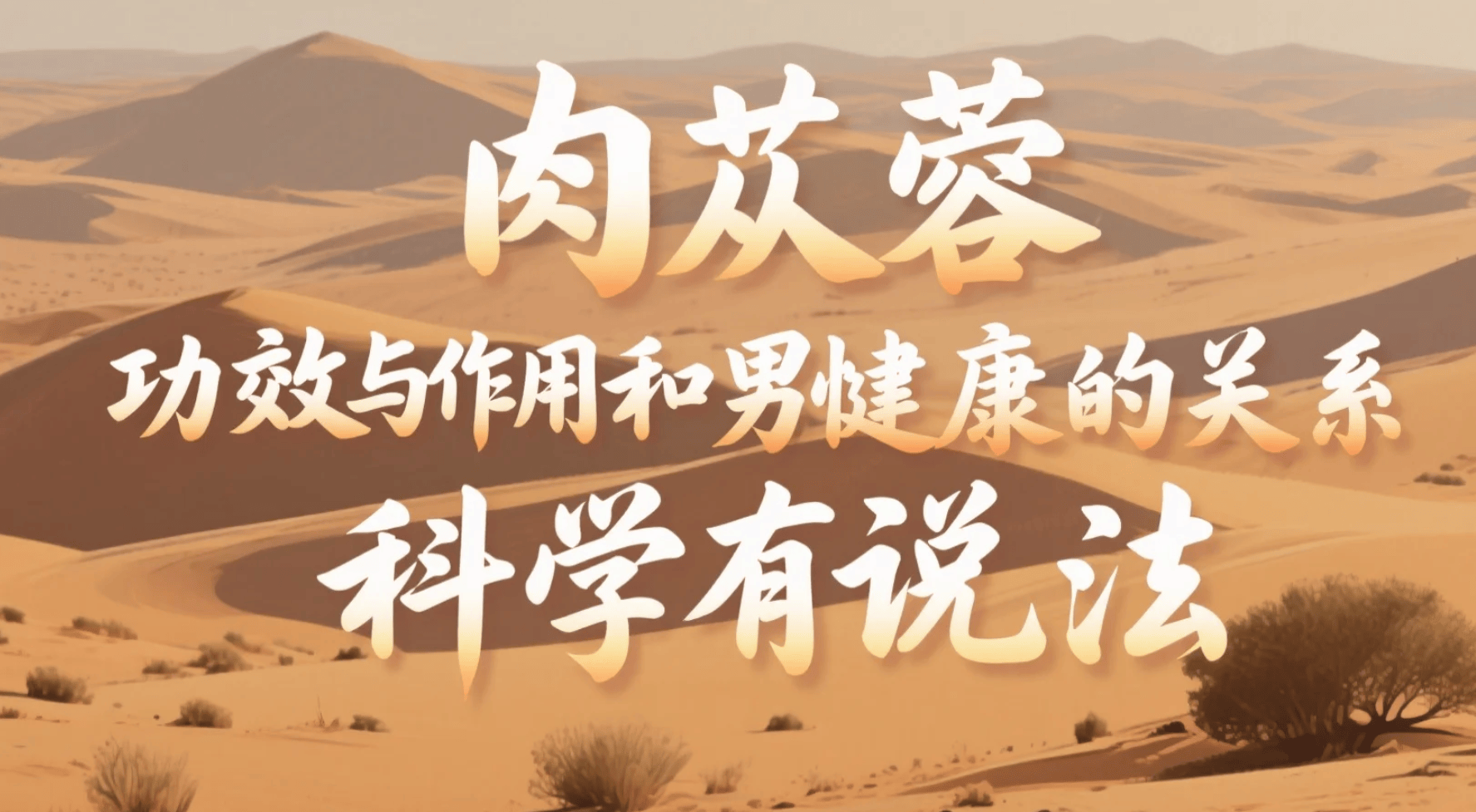 肉苁蓉的功效与作用和男性健康的关系，科学有说法