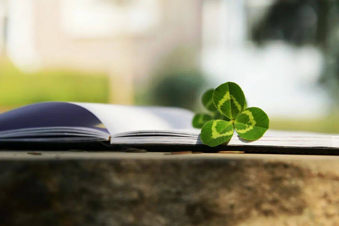 小满湿气重？跟着这4步做，整个人都清爽有劲