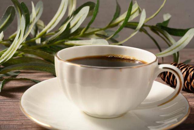 黑咖啡真能减肥？揭晓科学真相！