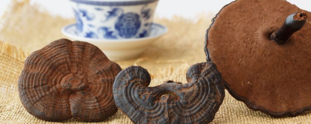 “灵芝泡水喝的正确方法及用量，快来了解！”