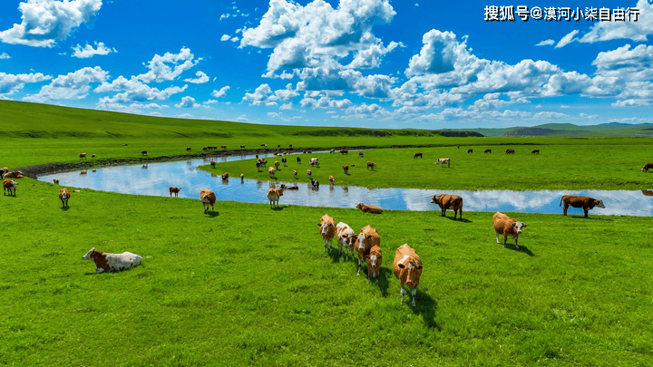 闯进油画里走不出来了~呼伦贝尔大草原的美独一无二！史上最美经典5日游路线！