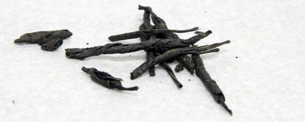 一天一杯苦丁茶的好处及饮用方法