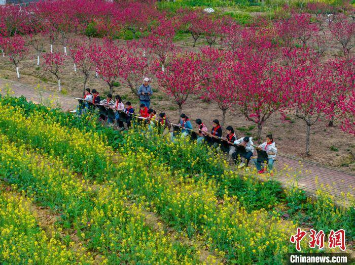 广西梧州学生乡间写生 绘就春日图景