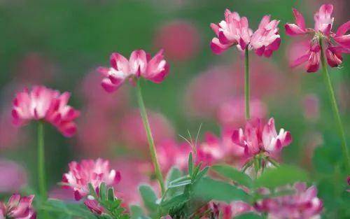 男人变心了，不爱了，一看便知：三个表现，非常明显