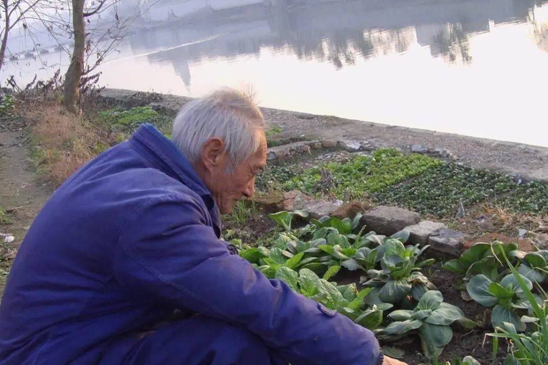 血栓不是“突然”出现的，若身体有4个表现，别忽视，尽快查一查！