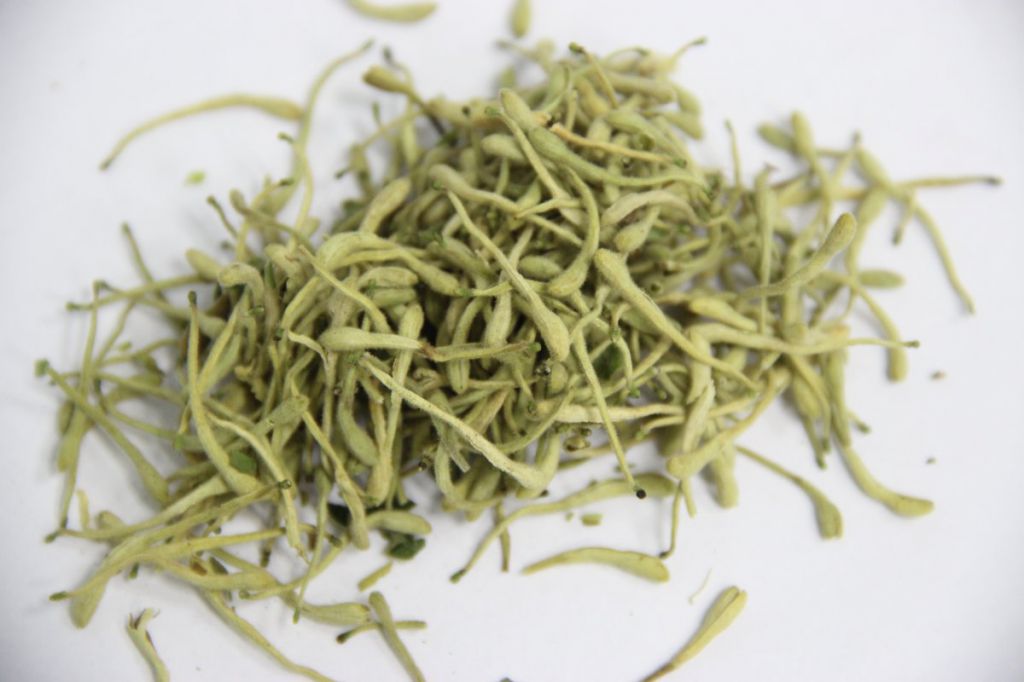 金银花人参茶喝了有什么好处 人参与金银花一起泡茶的功效 金银花人参茶的饮用注意事项