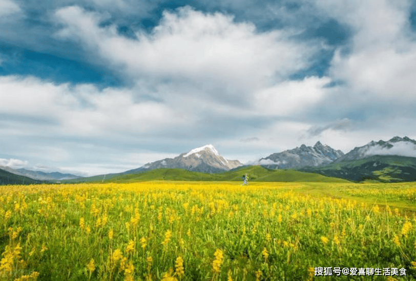 原创            夏季养心使劲吃，人称“天然阿司匹林”，补气血，清血管，抗氧化！