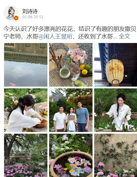 原创            38岁刘诗诗穿新中式插花好美！与撒贝宁同框录节目，比拍戏还出圈