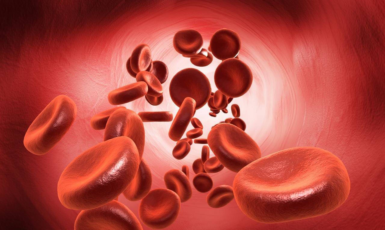 原创            尿酸降不了，可能是这5个误区在作祟，最后一个很多人天天犯