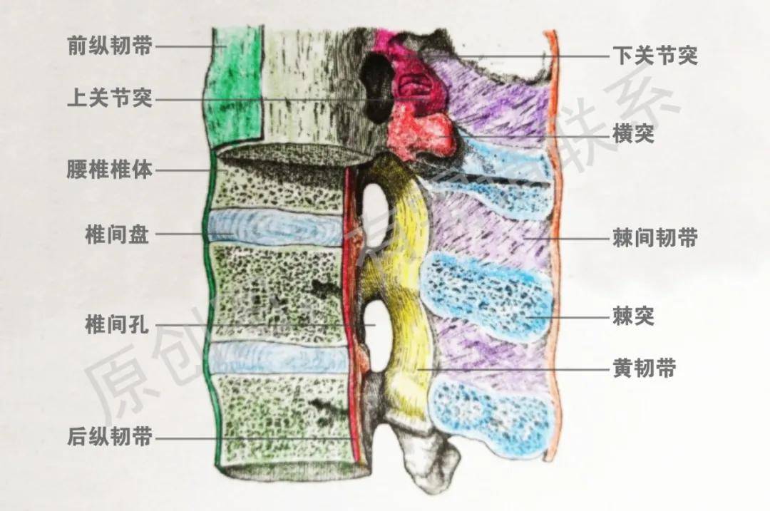 #学习分享266#立夏将至，颈椎病有哪些物理治疗？