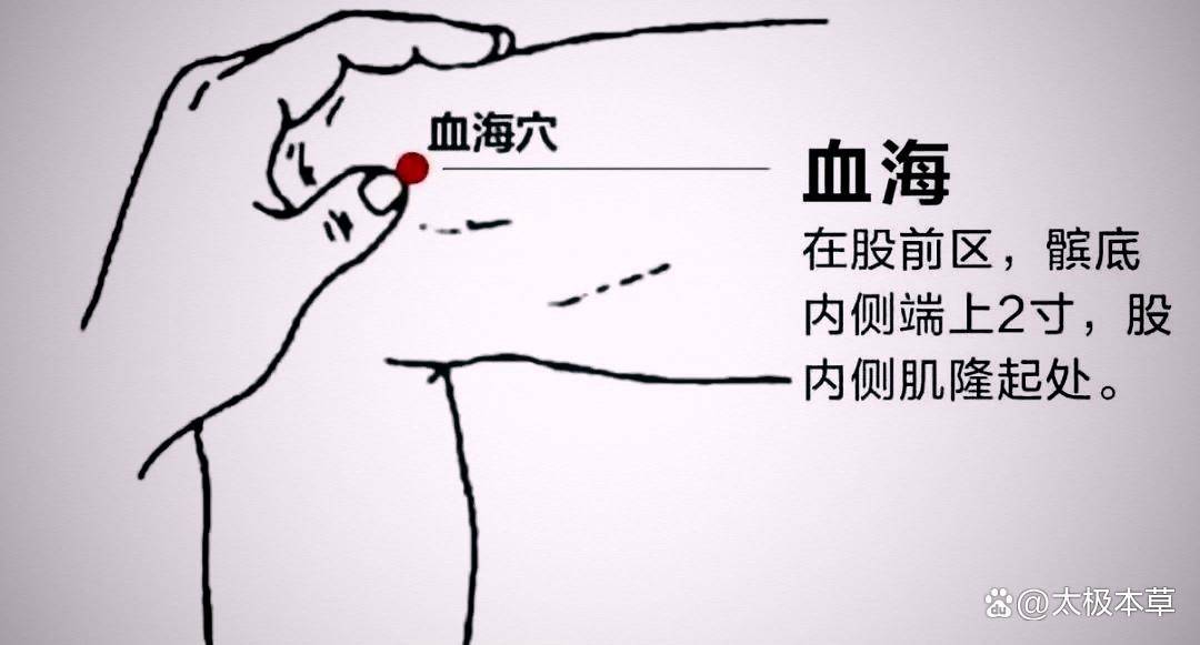 女人养颜，第一要务是养血