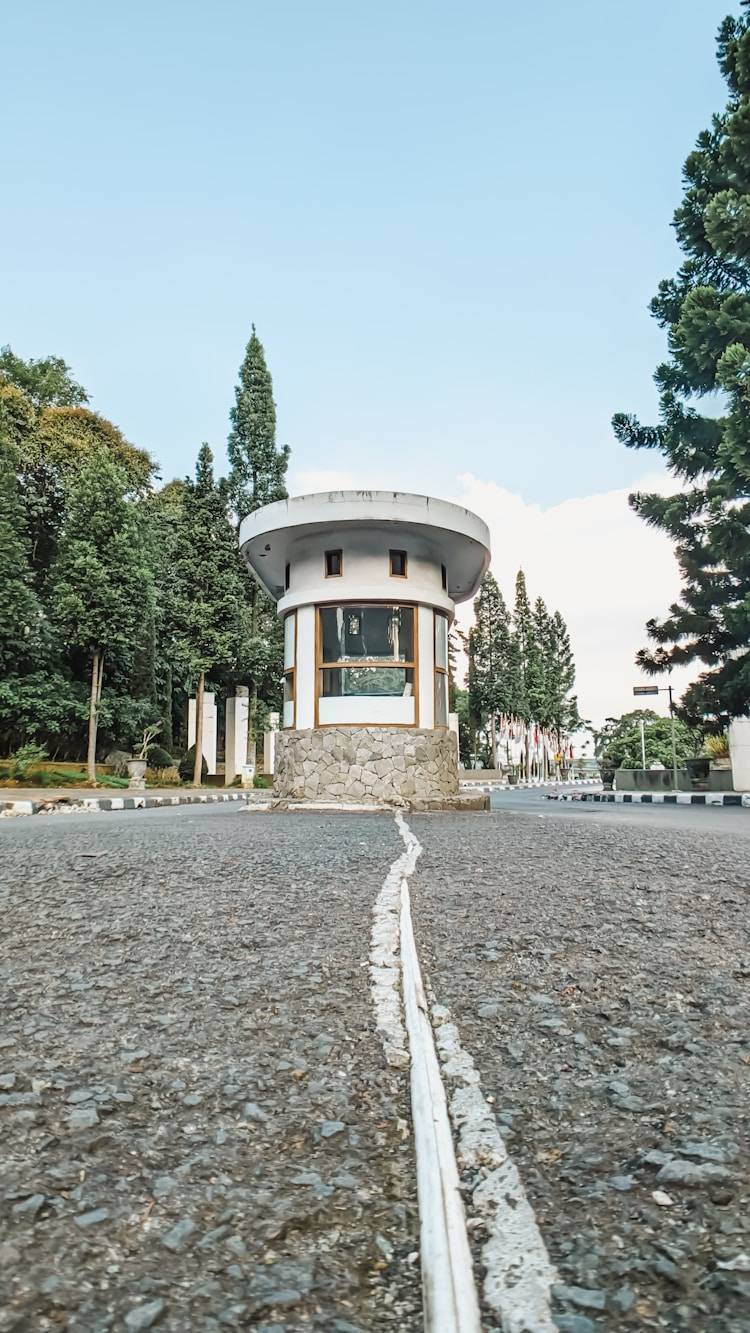 立夏过后抓紧吃这8种“黄金菜”，排毒养阳不怕暑热