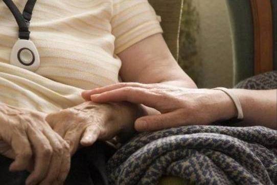 自带“降脂宝”的3种菌菇，油腻党必囤，血管干净血脂稳！