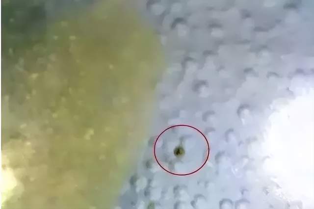 宋以后的瓷器，为什么釉下普遍有层气泡