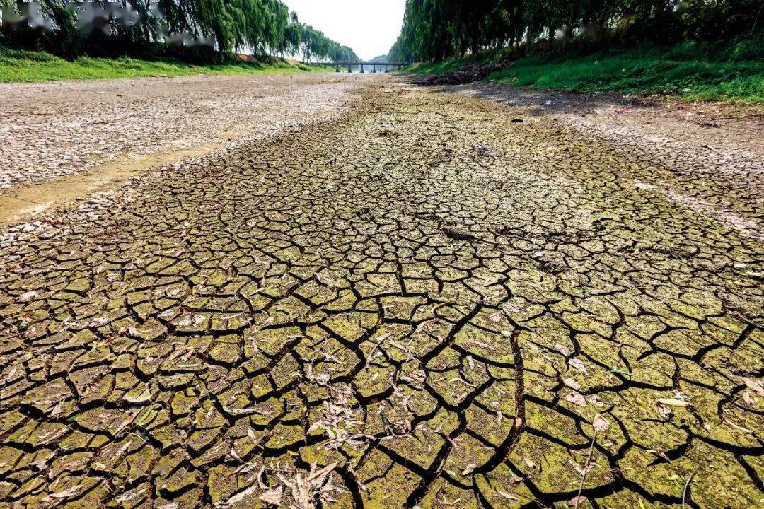 干旱在加剧，我们的身体也在“喊渴”！