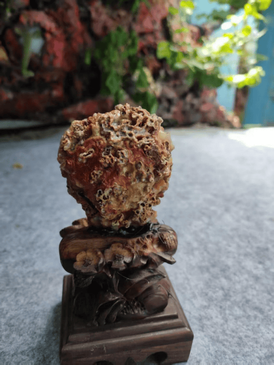 《玉石论坛16》央视付小明谈天然造型玛瑙荔枝，天地奇观