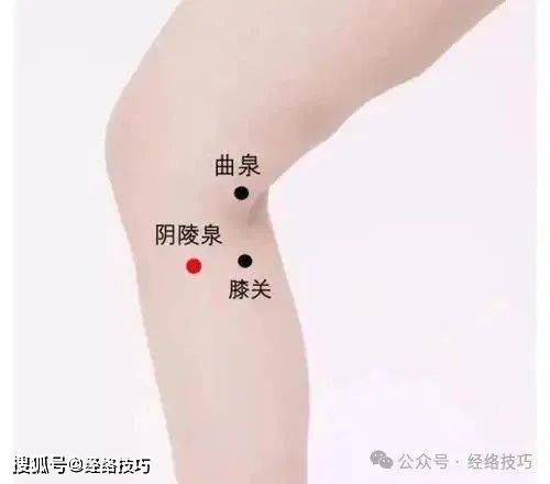 原创            五月祛湿正当时，拍打穴位身体舒坦