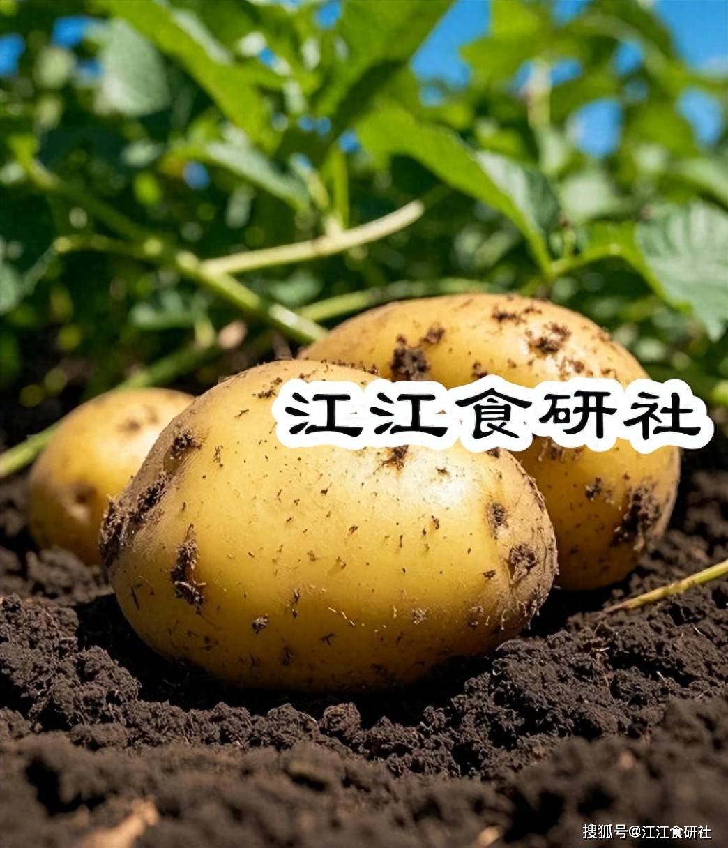 原创            初夏，少吃红薯南瓜多吃它，一通便，二降压，二抗衰老，四强免疫