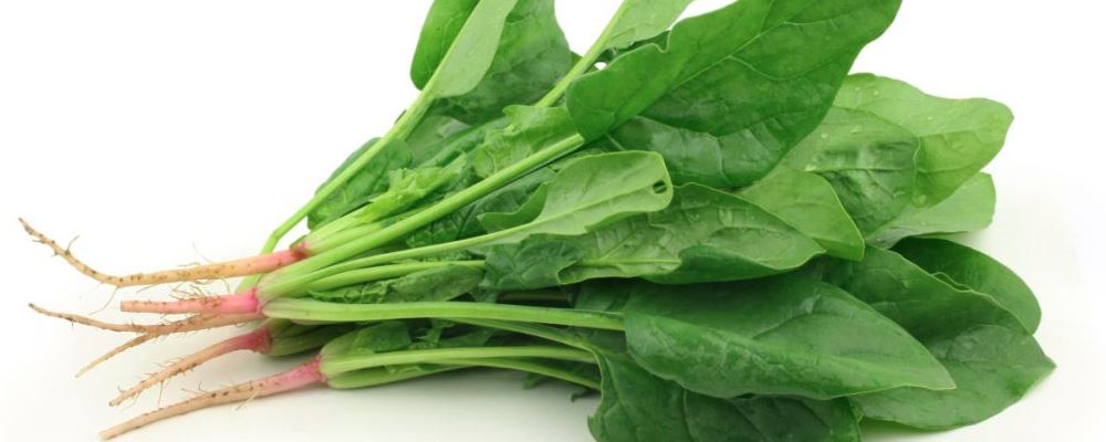 “抗衰老食物：揭秘延缓时间的美味秘籍”