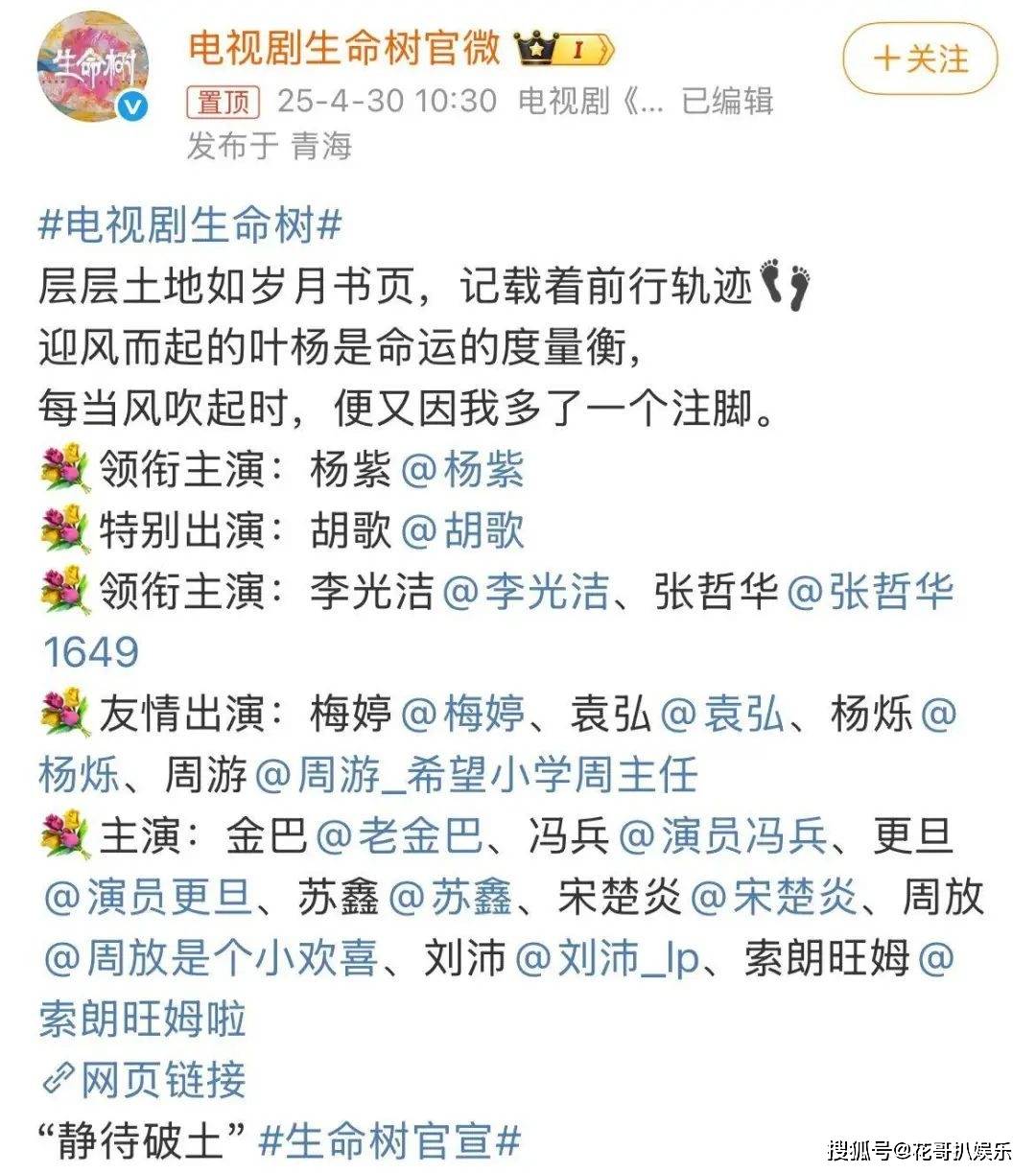 原创            《生命树》官宣，杨紫力压胡歌拿下一番，两家粉丝在网上激情开麦