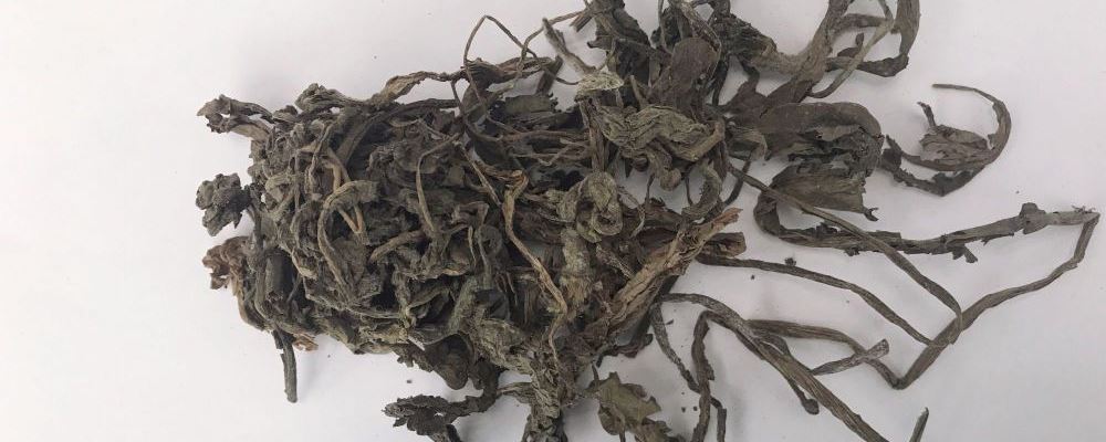 蒲公英哪些部位能吃 蒲公英的正确吃法 蒲公英能吃吗